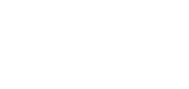 logo echoactualite