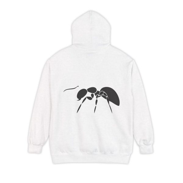 15054646557726574073_2048.jpeg Hoodie Chinwa